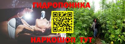 jwh Канаш