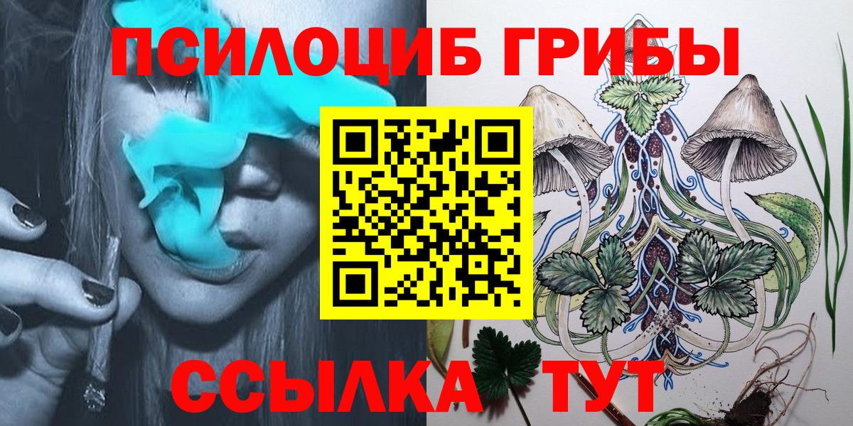 Галлюциногенные грибы Psilocybine cubensis Тольятти